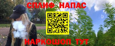 дурь Славгород