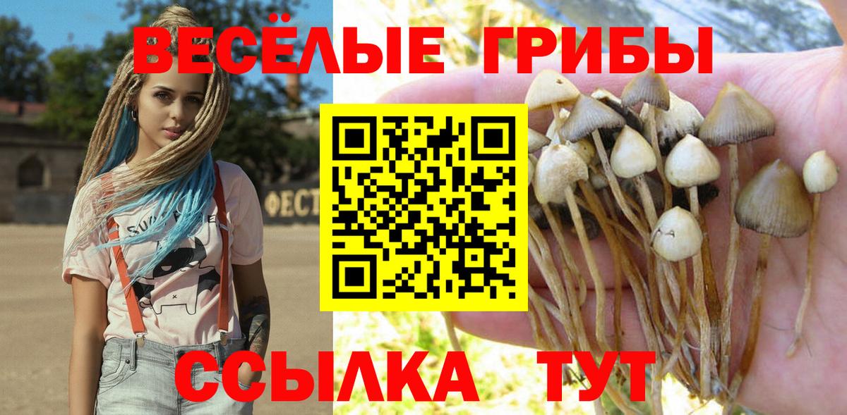 Галлюциногенные грибы Magic Shrooms  Вход с VPN  Благодарный 