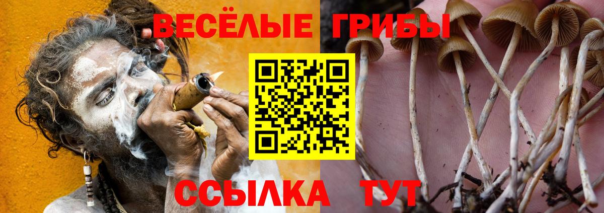 Псилоцибиновые грибы Psilocybine cubensis Благодарный